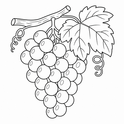 Grapes coloring page thumbnail